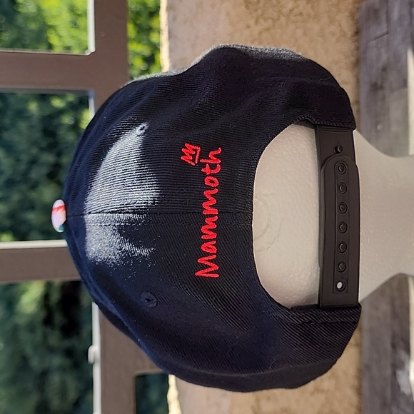 Mammoth Moutain Hat - Picture 3 of 5